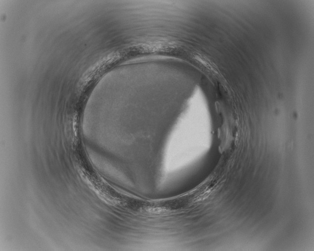 X0000053120590200508012153