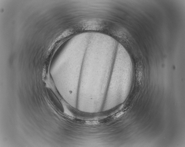 X0000053120591200508012153