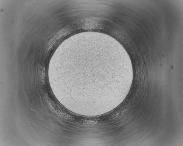 X0000053120592200508012153