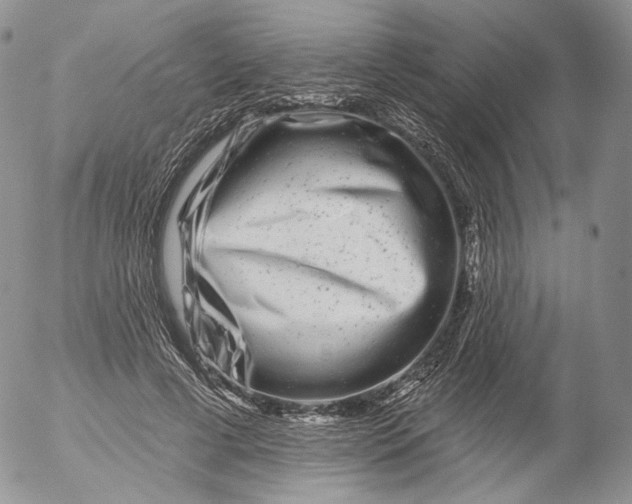 X0000053120593200508012153