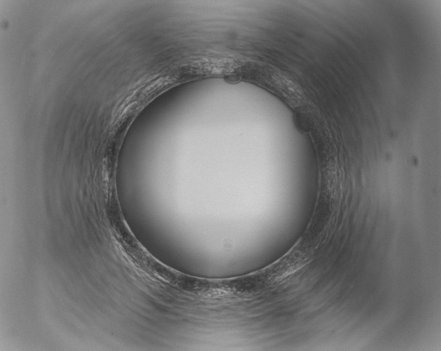 X0000053120594200508012153