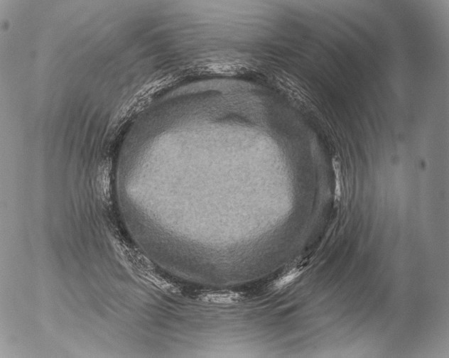 X0000053120595200508012153