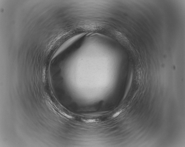 X0000053120596200508012153