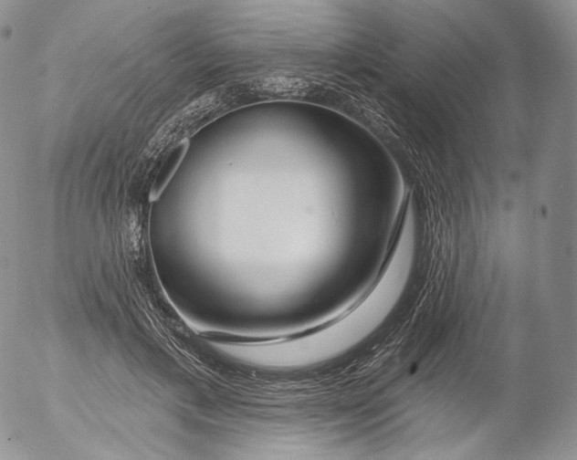 X0000053120597200508012153