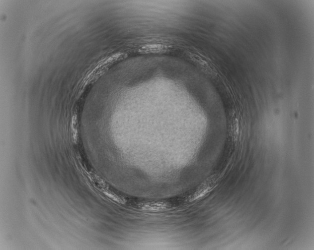 X0000053120599200508012153