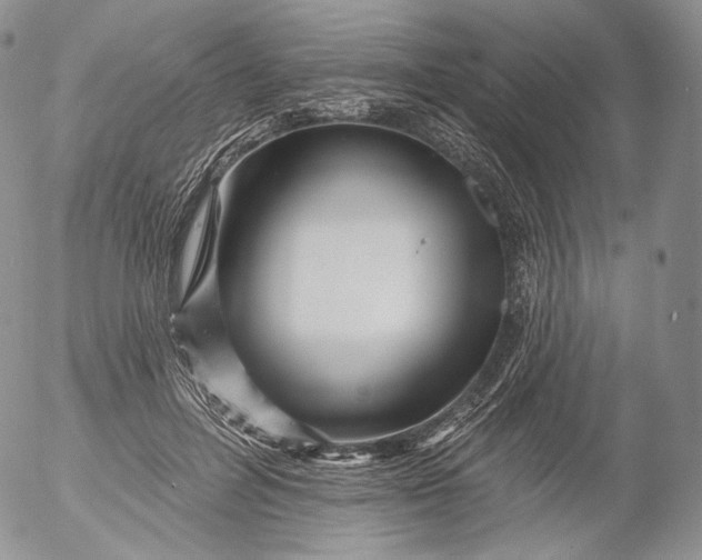 X0000053120600200508012153