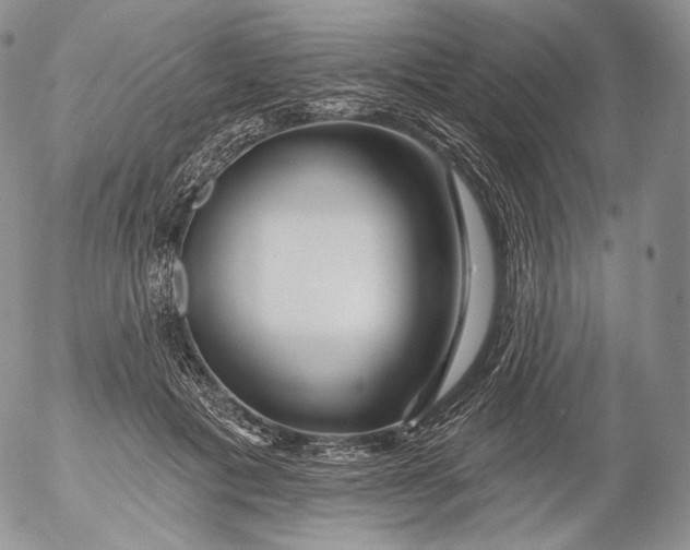 X0000053120601200508012153