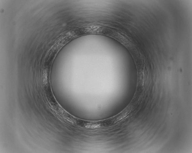 X0000053120602200508012153