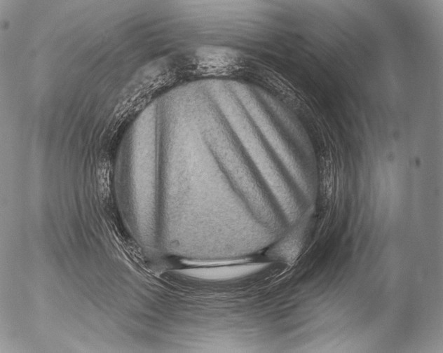 X0000053120603200508012153