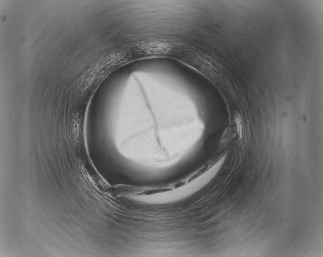 X0000053120604200508012153