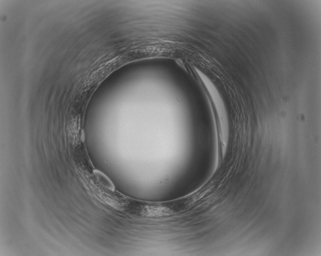 X0000053120605200508012153