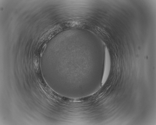 X0000053120607200508012153