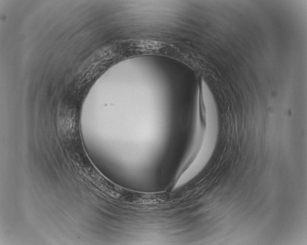 X0000053120608200508012153