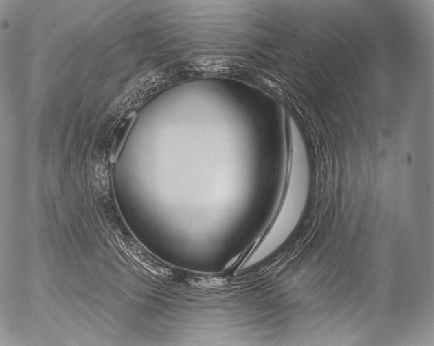 X0000053120609200508012153