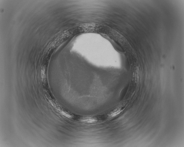 X0000053120610200508012153