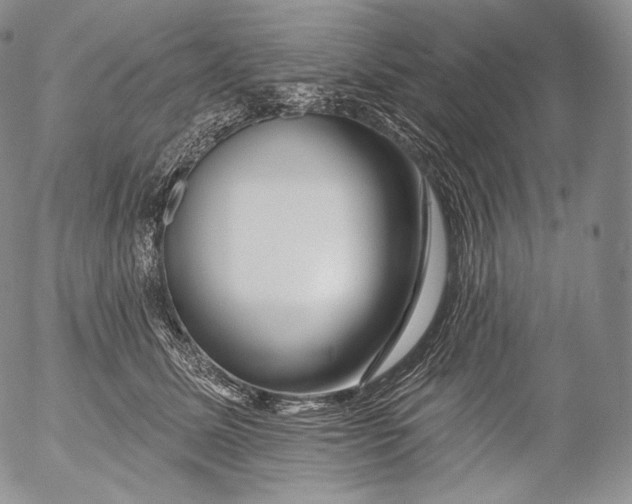 X0000053120611200508012153