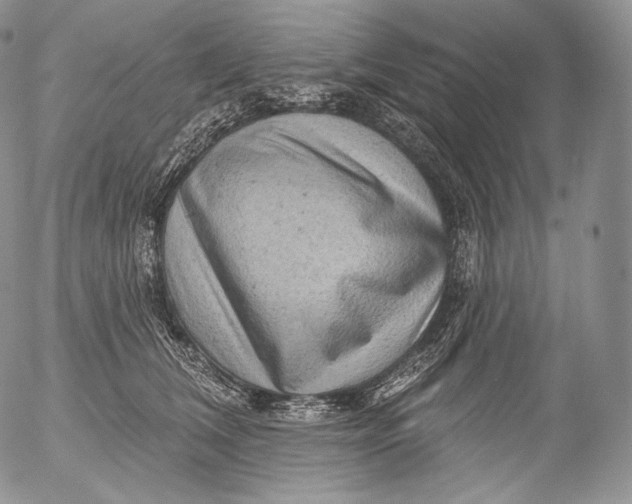 X0000053120612200508012153