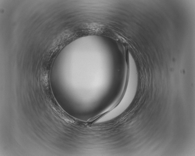 X0000053120613200508012153