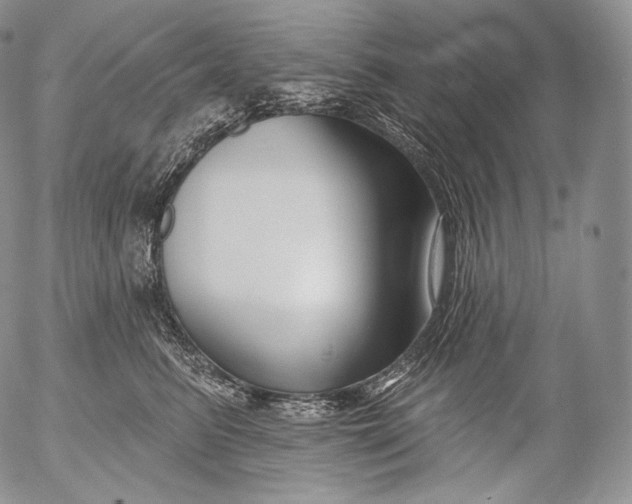 X0000053120615200508012153