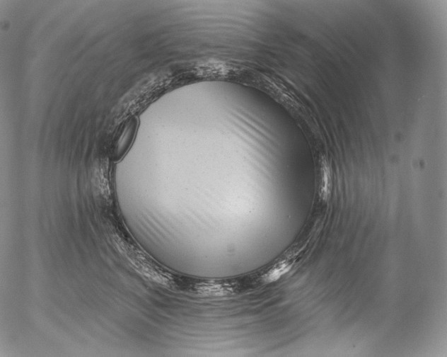 X0000053120616200508012153