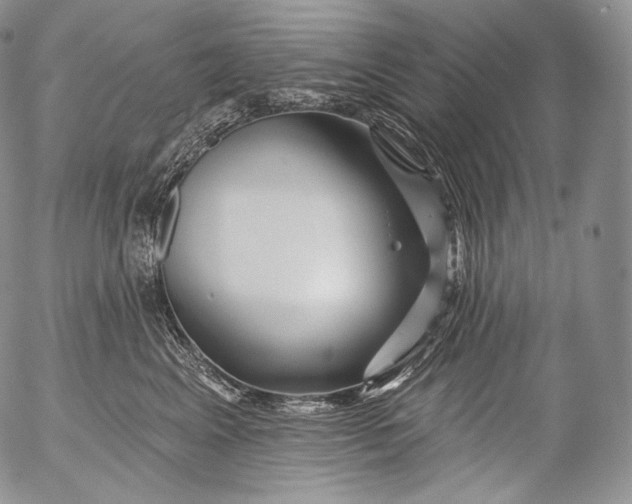 X0000053120617200508012153