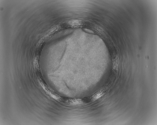 X0000053120618200508012153