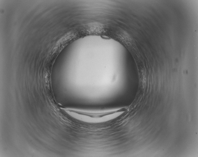 X0000053120619200508012153