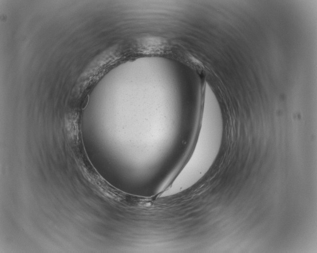 X0000053120620200508012153