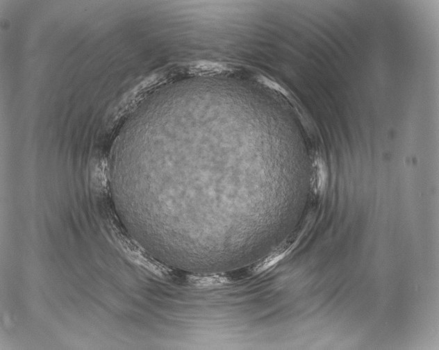 X0000053120621200508012153