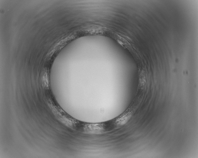 X0000053120622200508012153