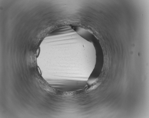 X0000053120624200508012153