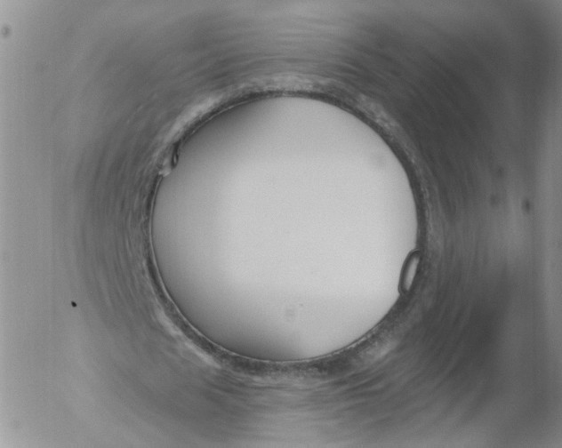 X0000053120625200508012152