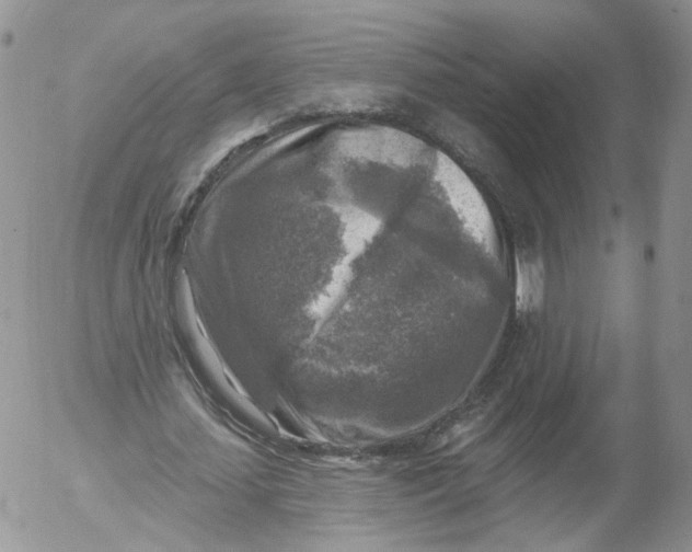 X0000053120627200508012152