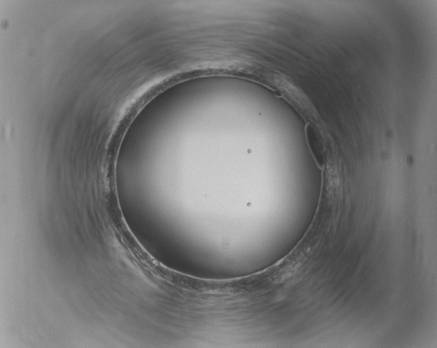 X0000053120628200508012152