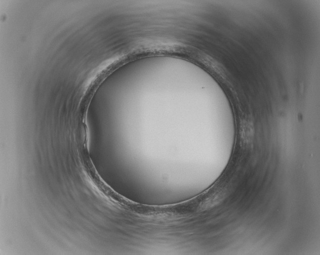 X0000053120629200508012152