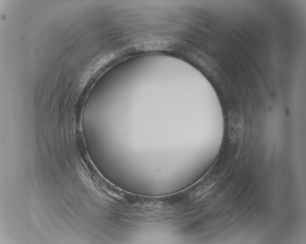 X0000053120631200508012152