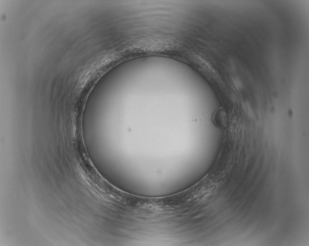 X0000053120635200508012152