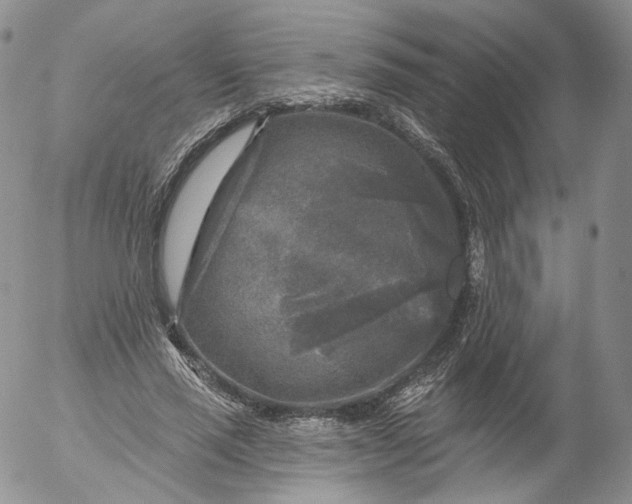 X0000053120637200508012152