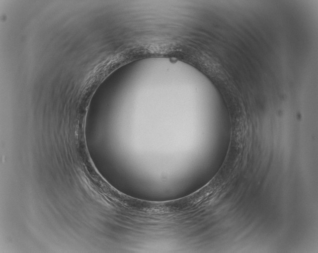 X0000053120639200508012152