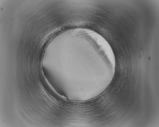 X0000053120640200508012152