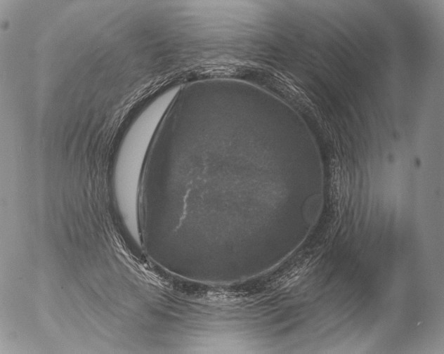 X0000053120641200508012152