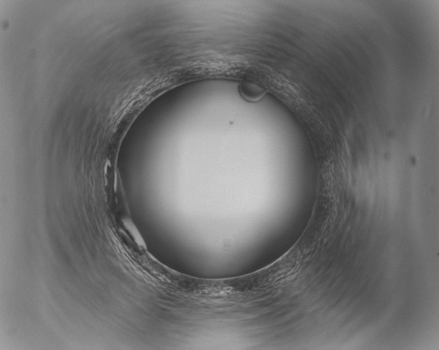 X0000053120642200508012152