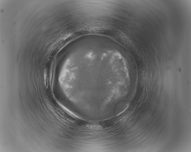 X0000053120644200508012152