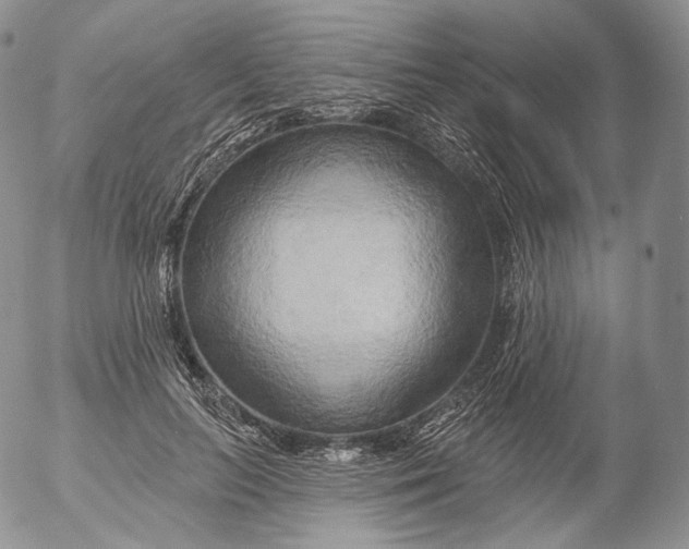 X0000053120647200508012152