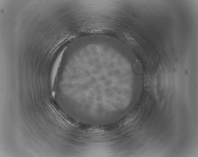 X0000053120648200508012152