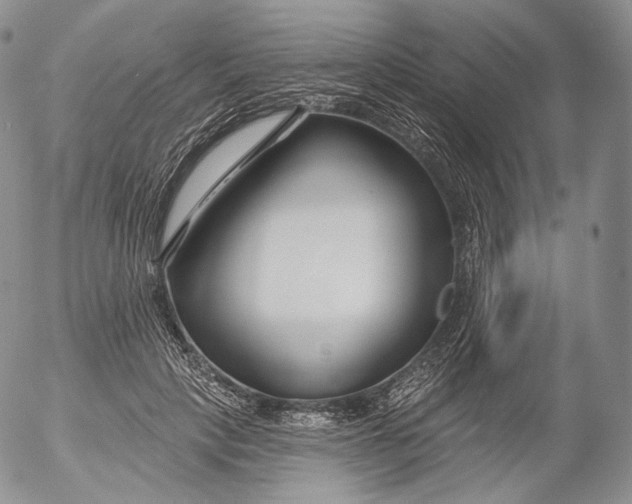 X0000053120649200508012152