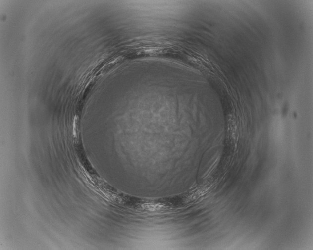 X0000053120650200508012152