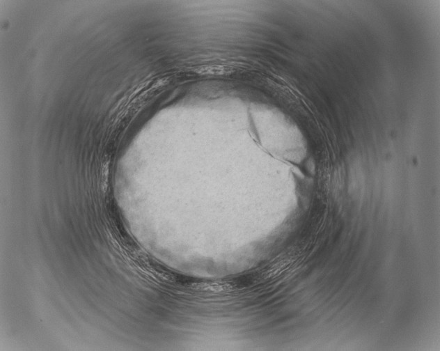 X0000053120652200508012152