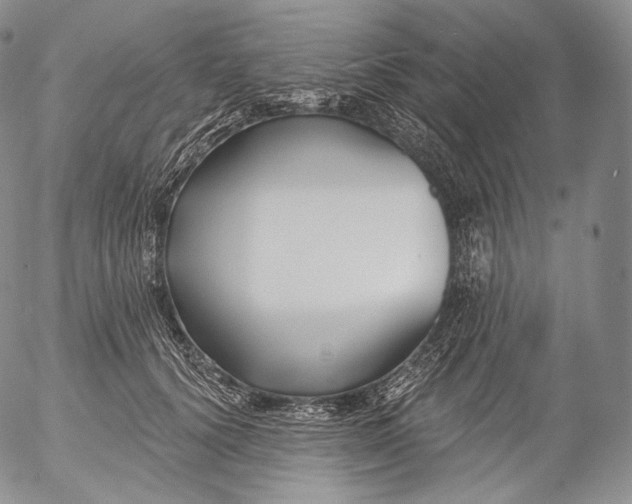 X0000053120656200508012153