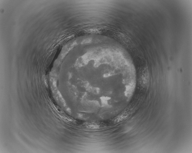 X0000053120658200508012153